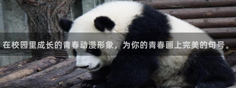 樱花动漫我想吃掉你的胰脏：在校园里成长的青春动漫形象，为你的青春画上完美的句号。