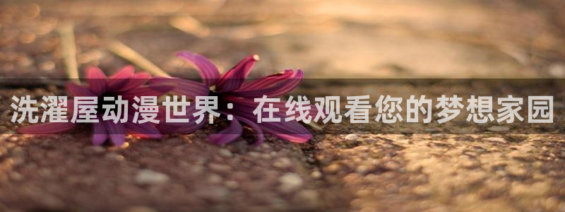 樱花动漫观看免费观看网站：洗濯屋动漫世界：在线观看您的梦想家园