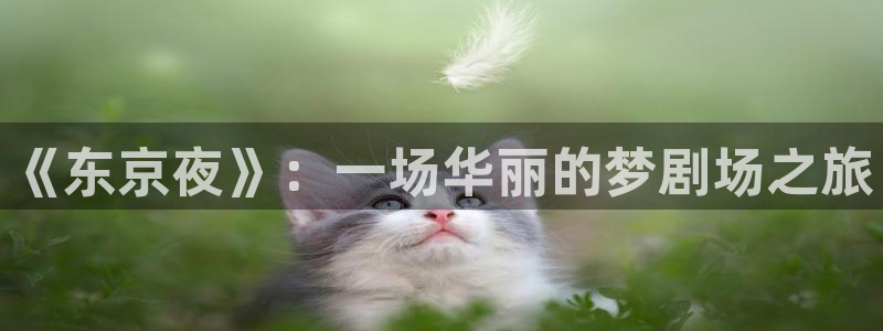 超级恋人第二季樱花动漫：《东京夜》：一场华丽的梦剧场之旅